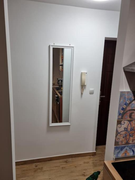 Studio Apartman Bojana 34M2,Free Wifi,Parking Sisak Bagian luar foto