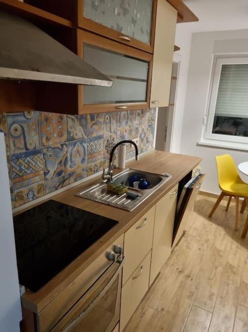 Studio Apartman Bojana 34M2,Free Wifi,Parking Sisak Bagian luar foto