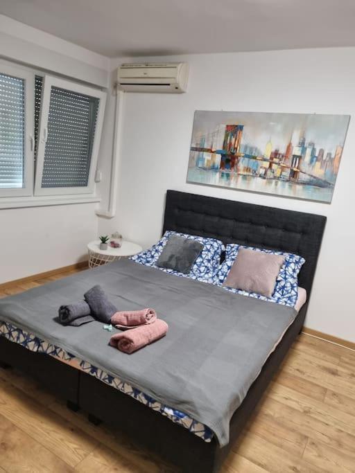 Studio Apartman Bojana 34M2,Free Wifi,Parking Sisak Bagian luar foto
